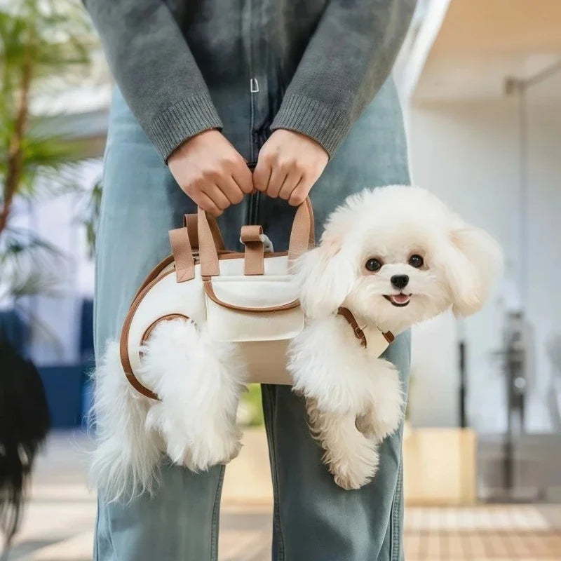 Pup Harness Set — Backpack, Leash & Harness in One