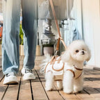 Pup Harness Set — Backpack, Leash & Harness in One
