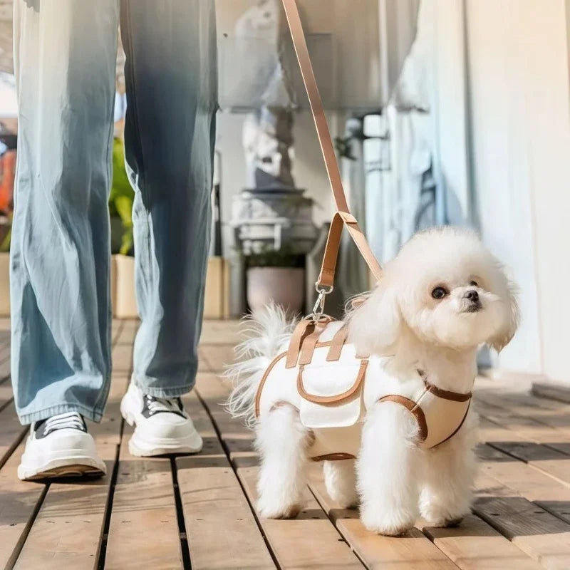 Pup Harness Set — Backpack, Leash & Harness in One