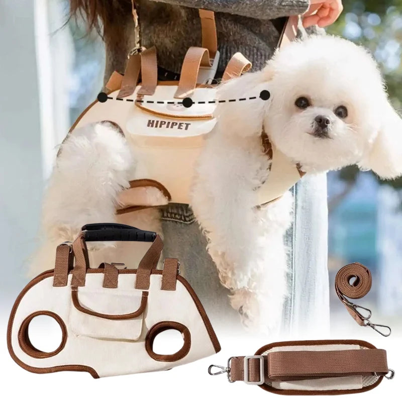 Pup Harness Set — Backpack, Leash & Harness in One